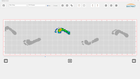 WatMat Walkway 1920 Foot Pressure Mat UI