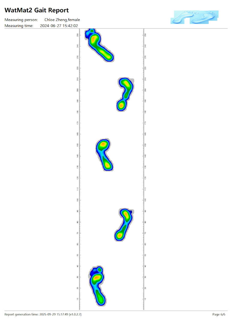 WatMat Walkway 1920 Software UI